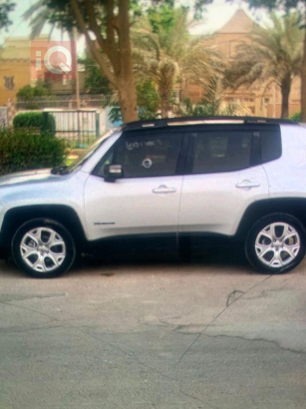 جيب رينيجيد